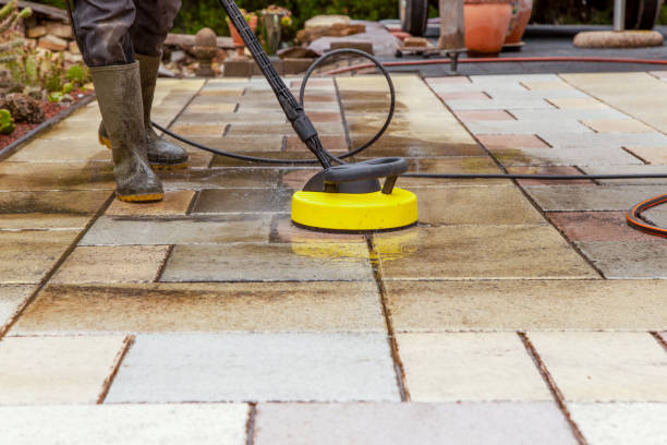 Best Roof Washing  in Temple Terrace, FL