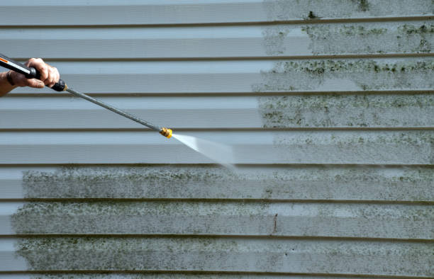 Best Patio and Deck Pressure Washing  in Temple Terrace, FL