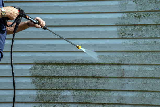 Solar Panel Cleaning in Temple Terrace, FL